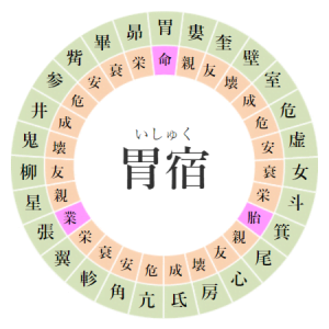 【2025/3/29】寝る前にチェック!胃宿の日の運勢|開運アクションと注意点