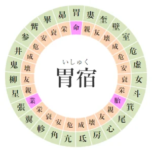 【2025/3/29】寝る前にチェック！胃宿の日の運勢｜開運アクションと注意点