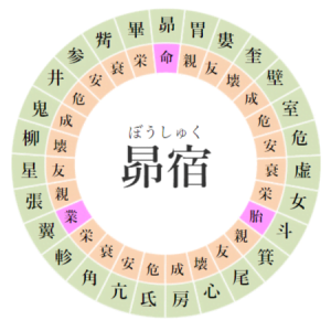 【2025/3/30】寝る前にチェック！昴宿の日の運勢｜開運アクションと注意点