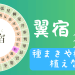 【宿曜占星術】2024年11月22日(金曜)の運勢 翼宿(よくしゅく)の日